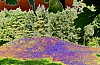 NK Digi03.jpg